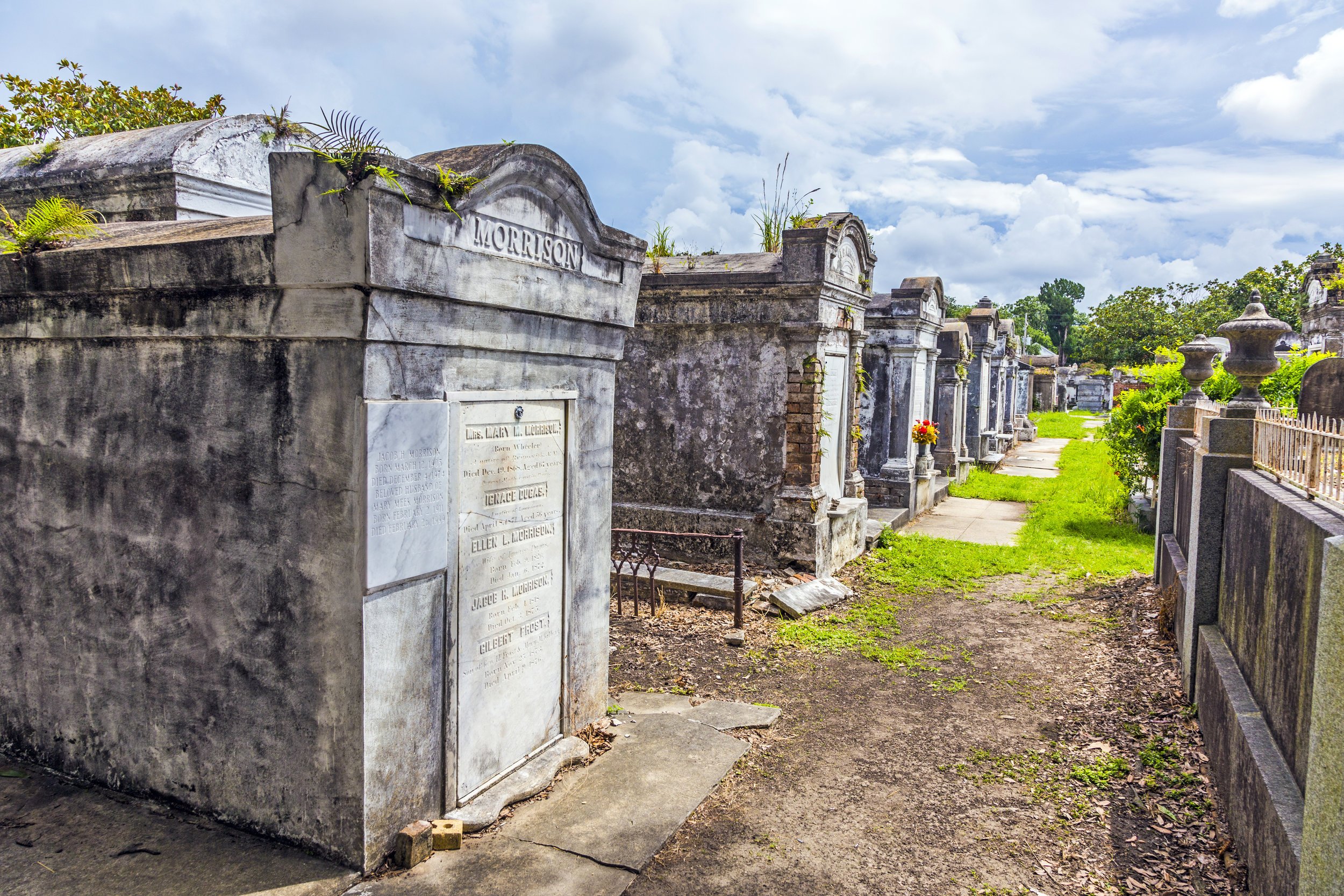 Top 7 Things to Do When Visiting New Orleans - Bayou Swamp Tours