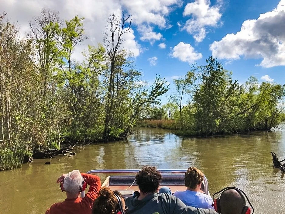 alligator bayou swamp tours baton rouge