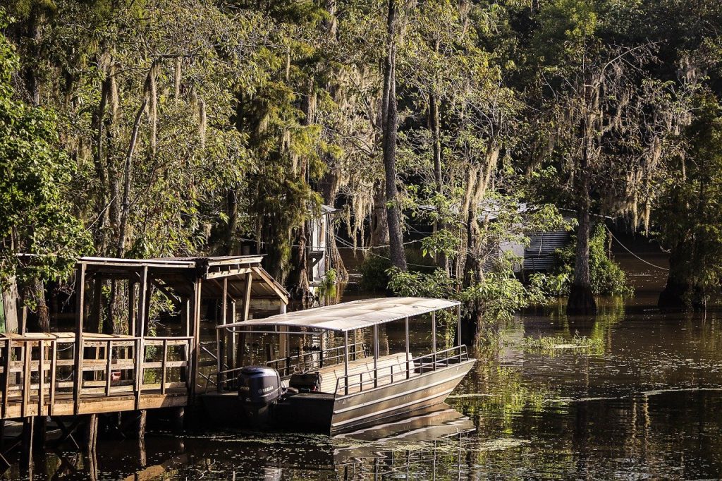 カード種類土地Bayou