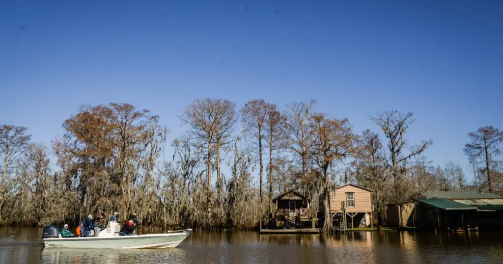 louisiana swamp tour during winter