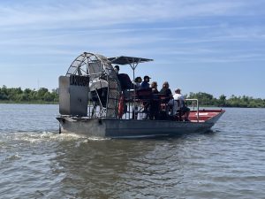 Beyond the Gators: Uncovering the Hidden World on a Swamp Tour