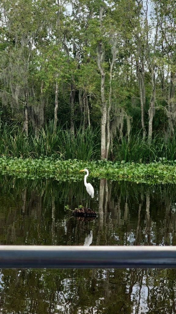 Step Into the World of The Princess and the Frog in New Orleans