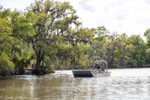 5 Reasons a Swamp Tour is the Best Way to Experience New Orleans