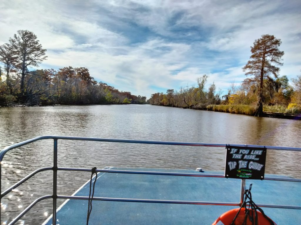 5 Reasons Why a Swamp Tour Should Be Part of Your Super Bowl Plans