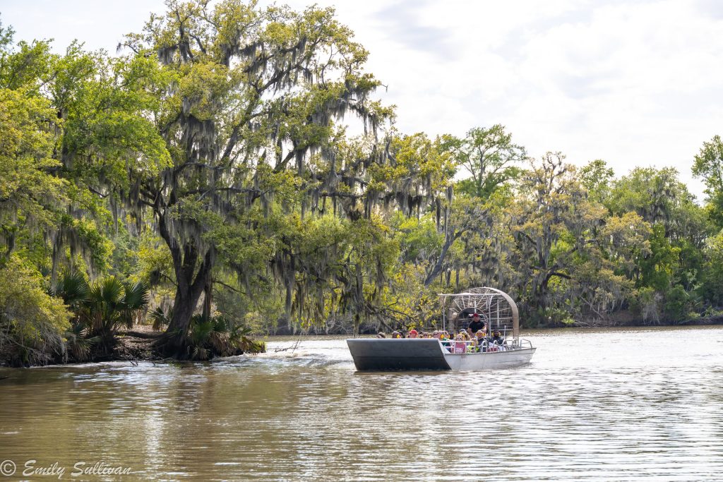 swamp tour super bowl