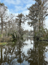 Why a New Orleans Swamp Tour Is the Perfect Spring Adventure