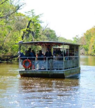 bayou segnette swamp tours